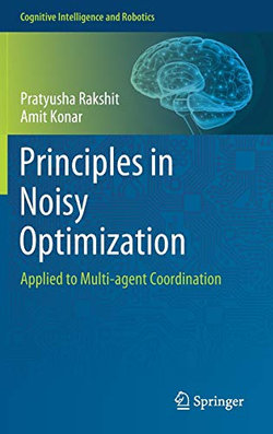 Principles in Noisy Optimization