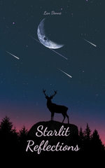 Starlit Reflections