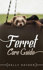 Ferret Care Guide