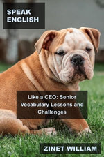 Speak English Like a CEO: Senior Vocabulary Lessons and Challenges