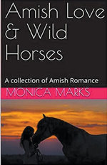 Amish Love & Wild Horses