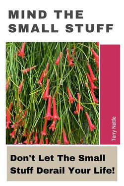 Mind The Small Stuff: Don't Let The Small Stuff Derail Your Life!