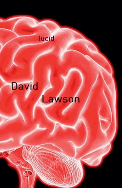 Lucid