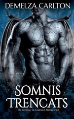Somnis Trencats