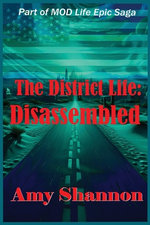 The District Life