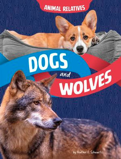 Dogs and Wolves
