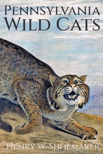 Pennsylvania Wild Cats