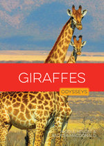 Giraffes