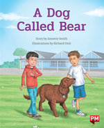 A Dog Called Bear