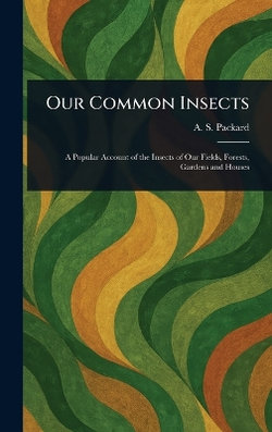 Our Common Insects