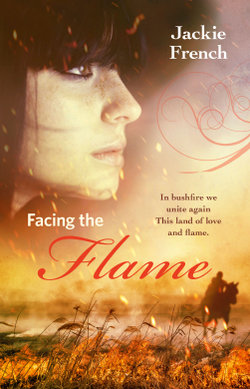 Facing the Flame