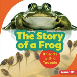 The Story of a Frog The Story of a Frog