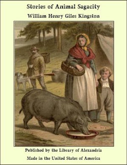 Stories of Animal Sagacity Stories of Animal Sagacity