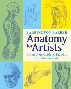 Anatomy for Artists