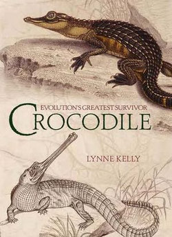 Crocodile