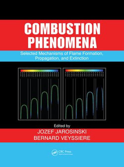 Combustion Phenomena