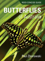 Reed Concise Guide to Butterflies of Australia