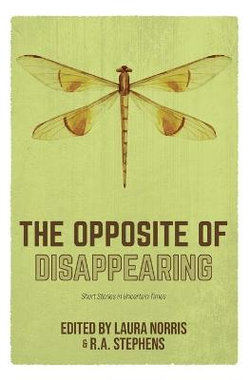 The Opposite of Disappearing