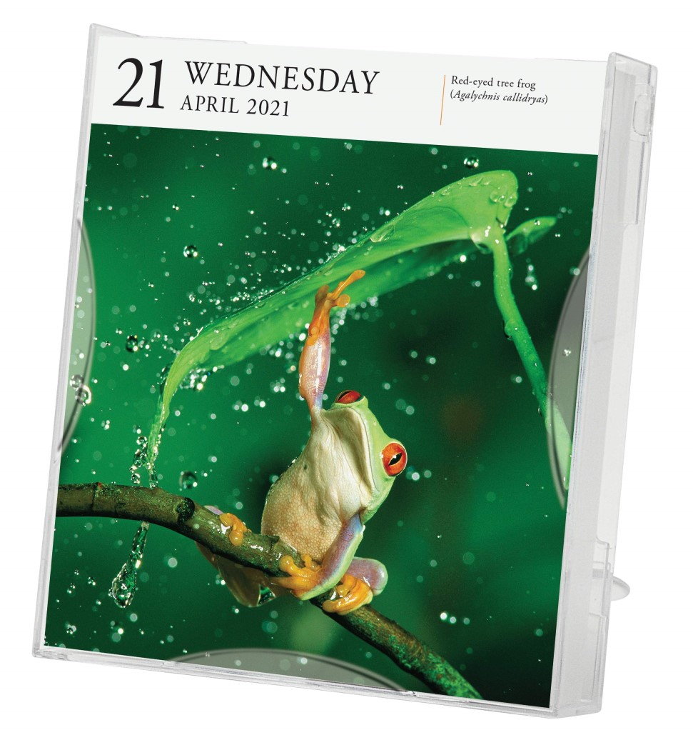 2021 Audubon Nature PageADay Gallery Calendar Angus & Robertson