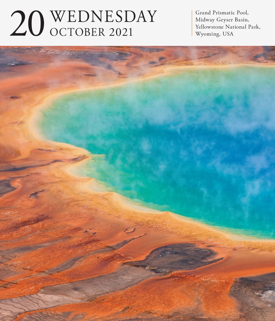 2021-audubon-nature-page-a-day-gallery-calendar-angus-robertson