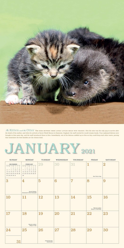 2021-unlikely-friendships-wall-calendar-angus-robertson