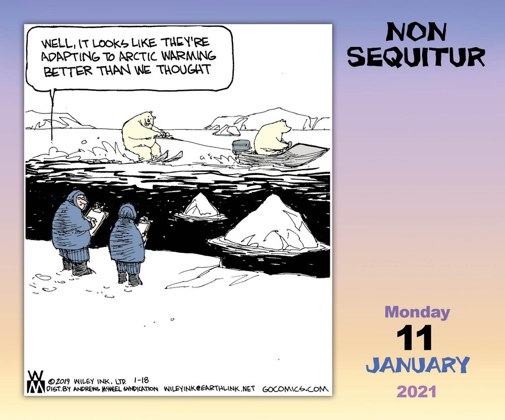 non-sequitur-2021-day-to-day-calendar-angus-robertson