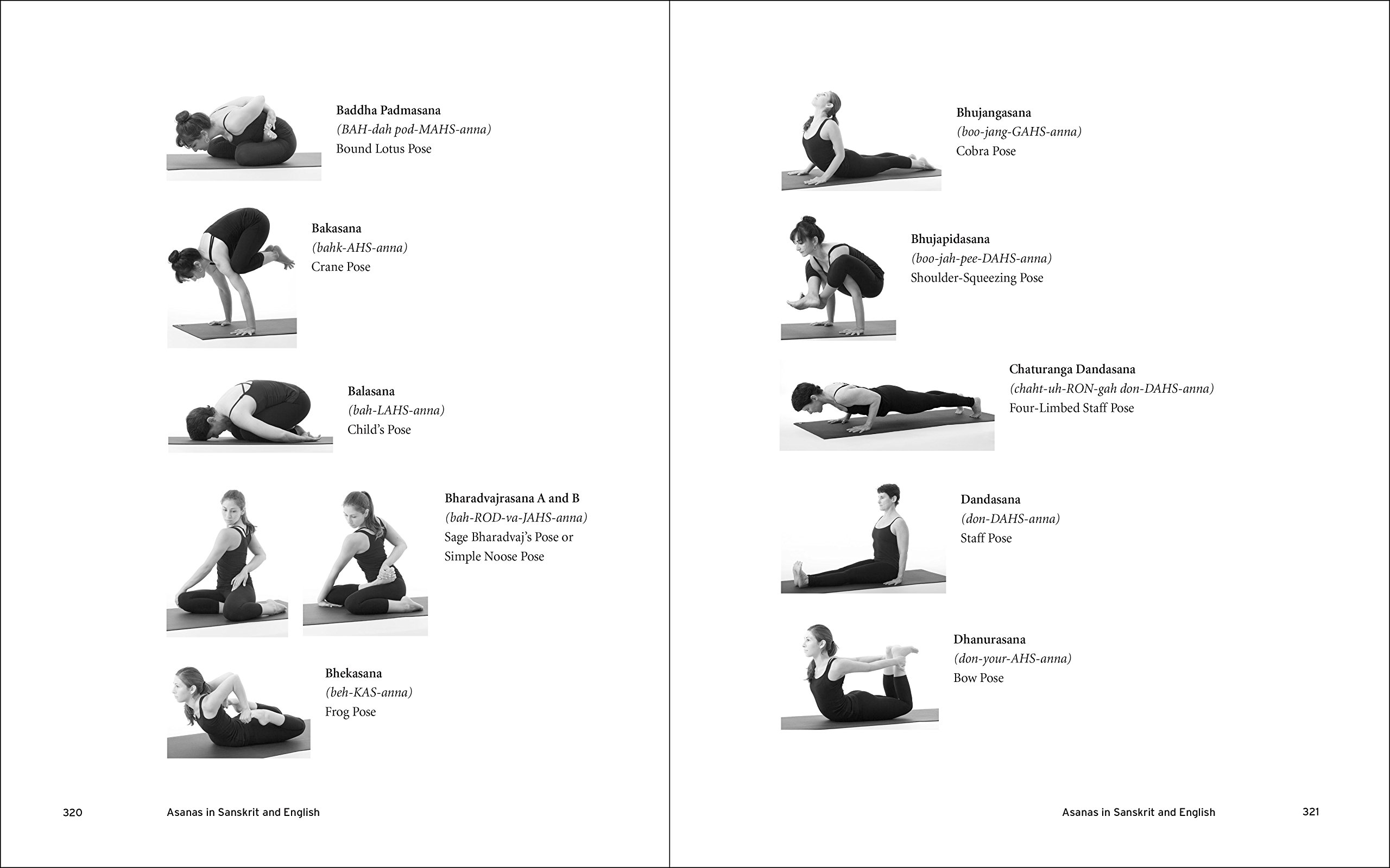 Yoga Adjustments  Angus & Robertson
