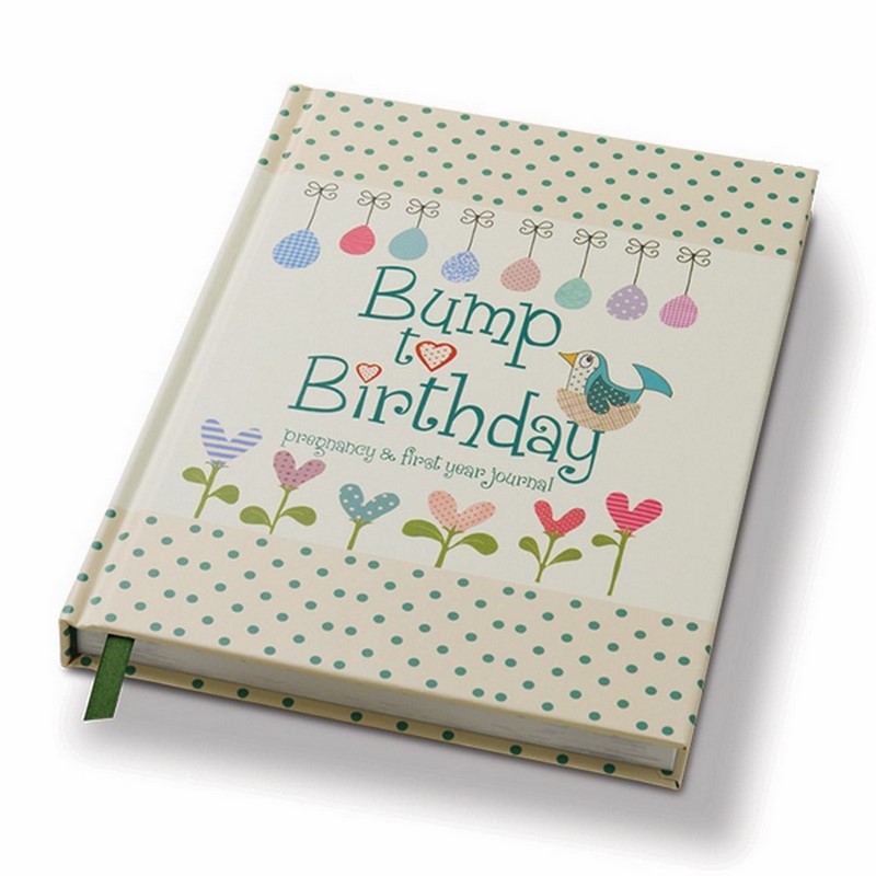 Bump to Birthday, Pregnancy & First Year Journal Angus & Robertson